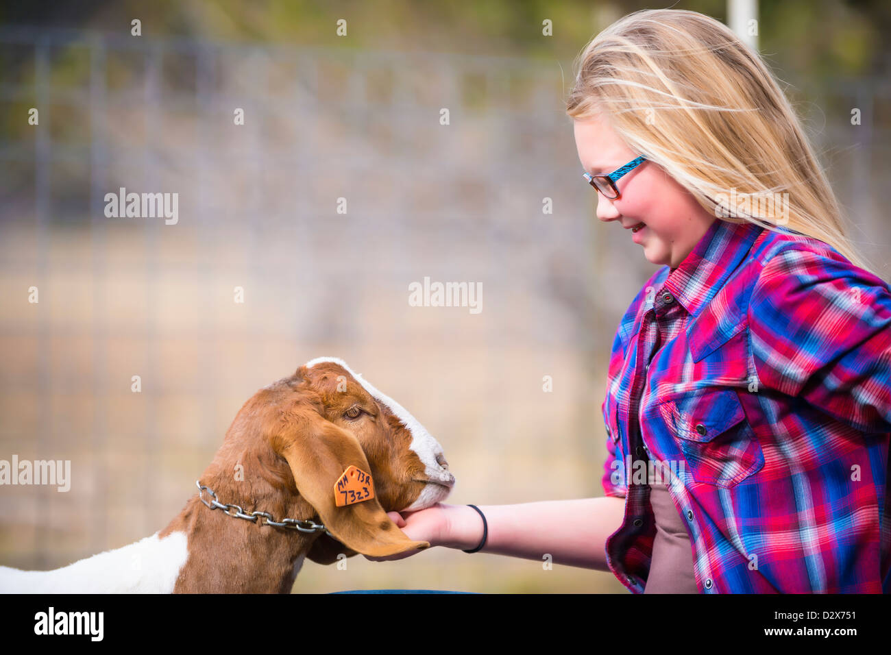 Ragazza e capra Foto Stock