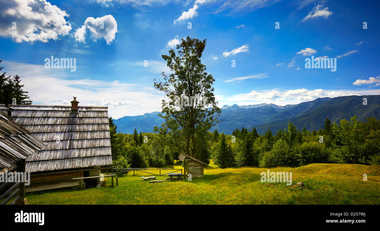 Tipica casa in legno circondato da montagne a Bohinj, il Parco Nazionale del Triglav, Gorica regione, Slovenia, Balcani membri Foto Stock