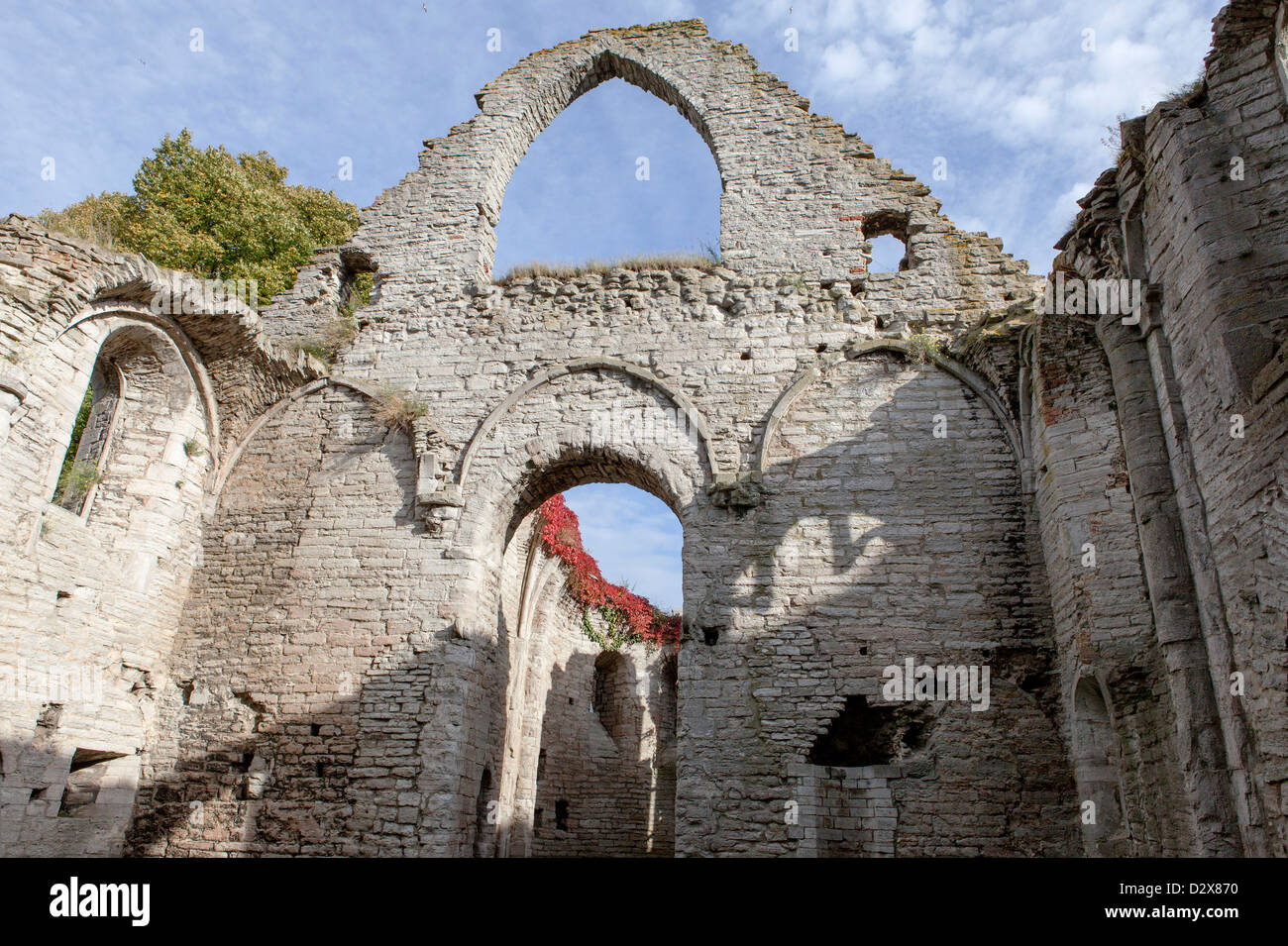 Le antiche rovine di Gotland, Visby, Svezia Foto Stock