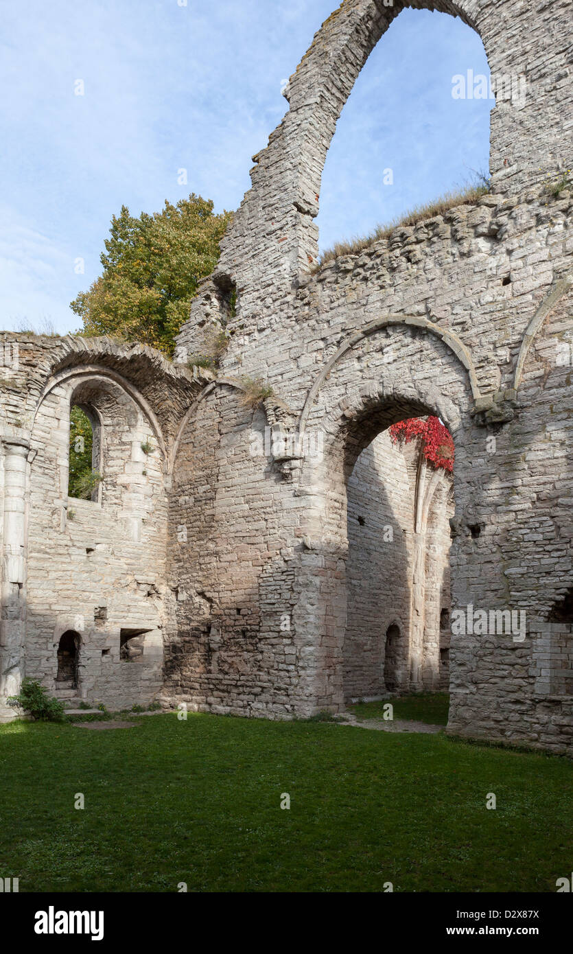 Le antiche rovine di Gotland, Visby, Svezia Foto Stock