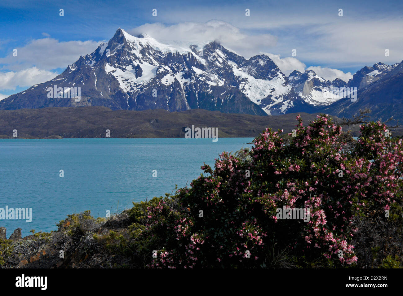 Lago Pehoe e Paine Grande, Parco Nazionale Torres del Paine, Patagonia, Cile Foto Stock