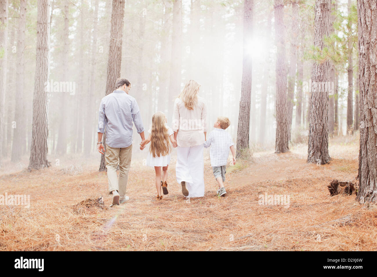 Famiglia tenendo le mani e camminare nei boschi di sole Foto Stock