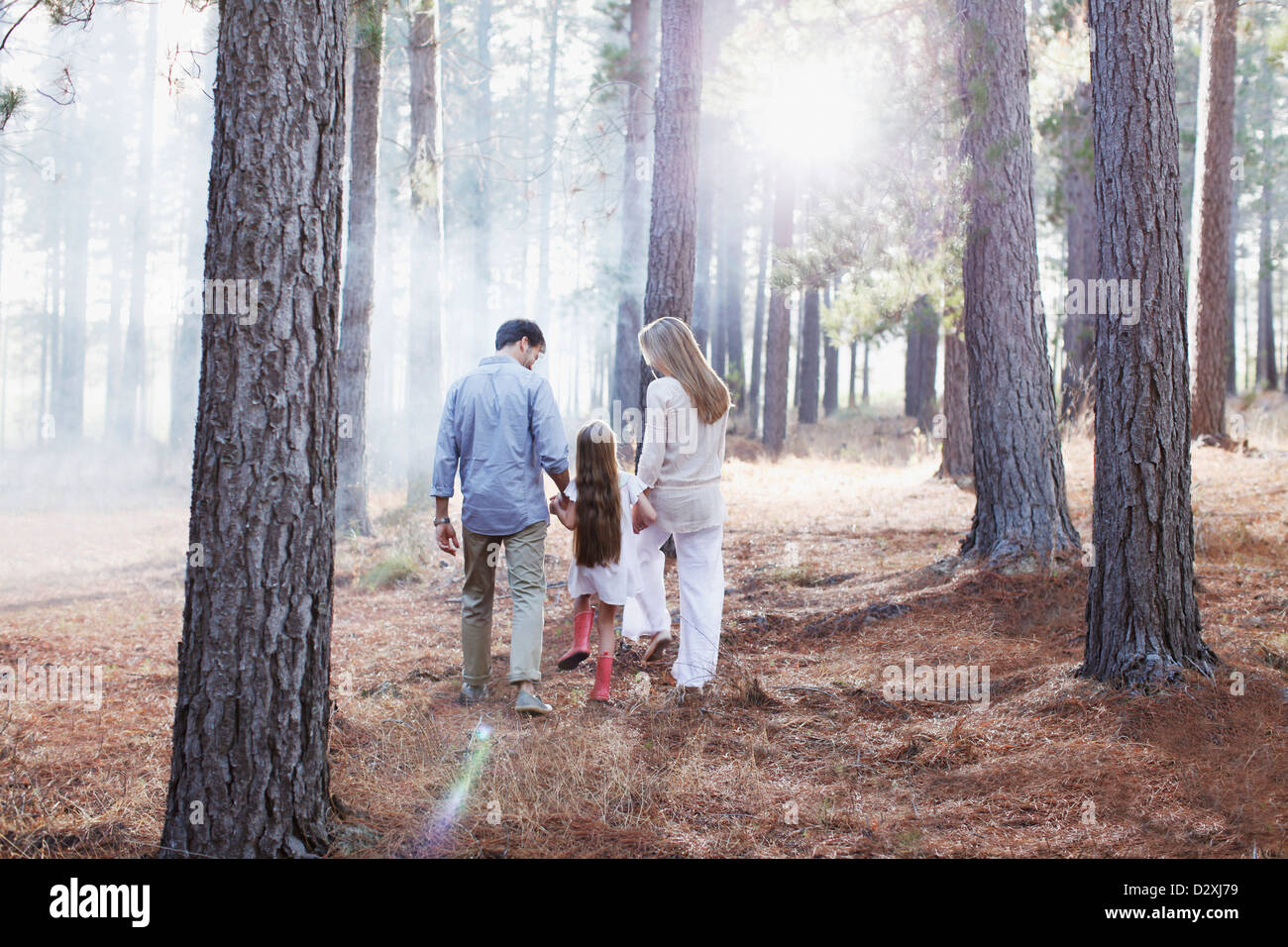 Famiglia tenendo le mani e camminare nei boschi di sole Foto Stock