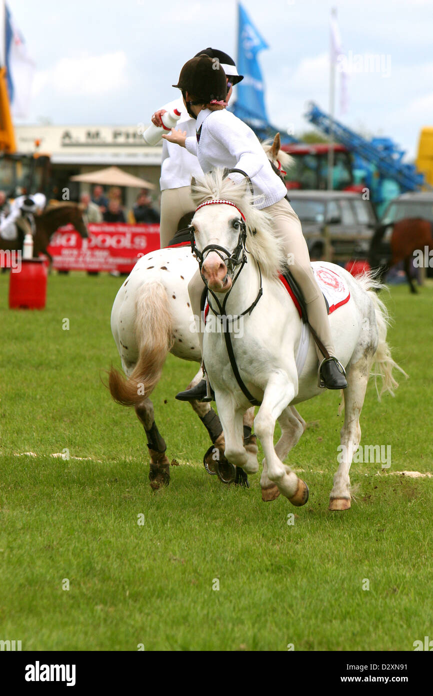 Spettacolo Angus Farm. Scozia. Giovani cavalieri di cavalli coinvolti in varie competizioni. Foto Stock