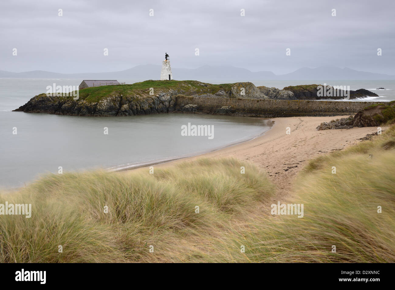 Ricoperto di erba dune di sabbia che conduce alla segnalazione sull isola di Llanddwyn, Anglesey, Galles. Foto Stock