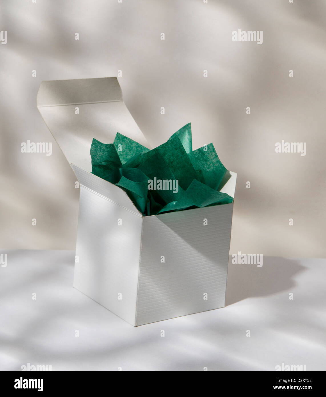 ODL Packaging - 100 Fogli Di Carta Velina Colorata, Per Confezioni Regalo, 20 X 30 Cm, Colore: Pesca - Foto 4