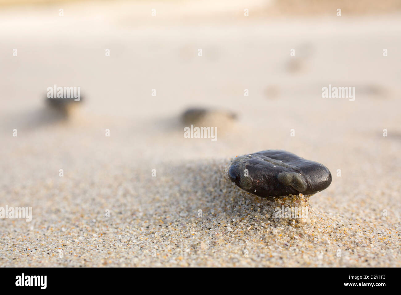 Ciottoli su una spiaggia; Vento; Regno Unito Foto Stock