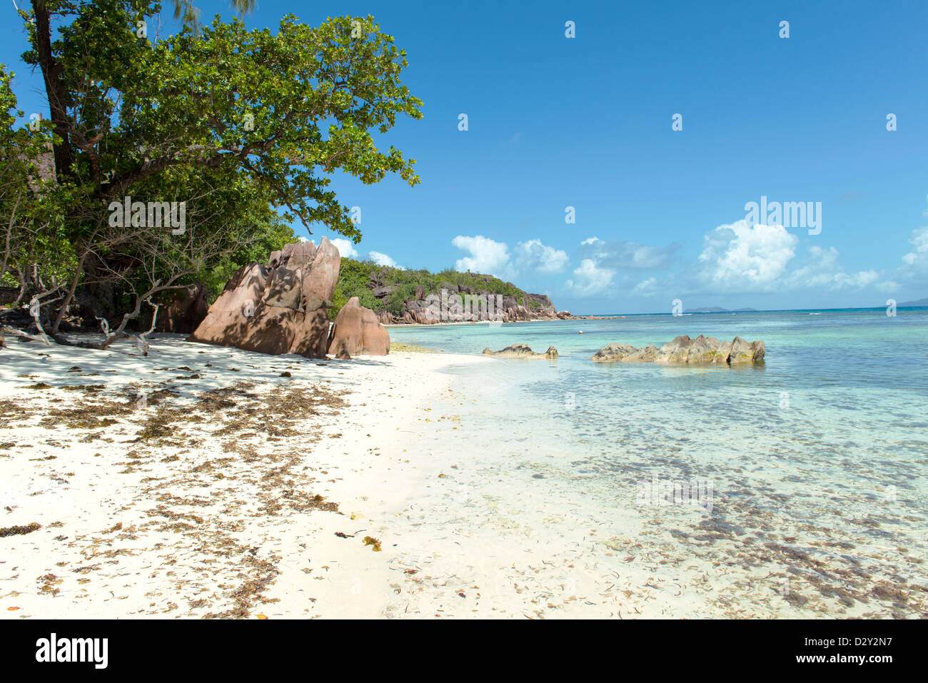 Tropicale sulla spiaggia di sabbia sulle isole delle Seychelles, Praslin, Anse Lazio Foto Stock