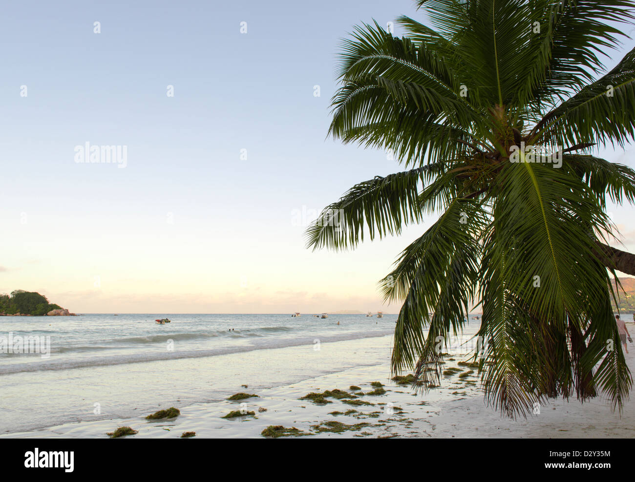 Spiaggia tropicale al tramonto Foto Stock