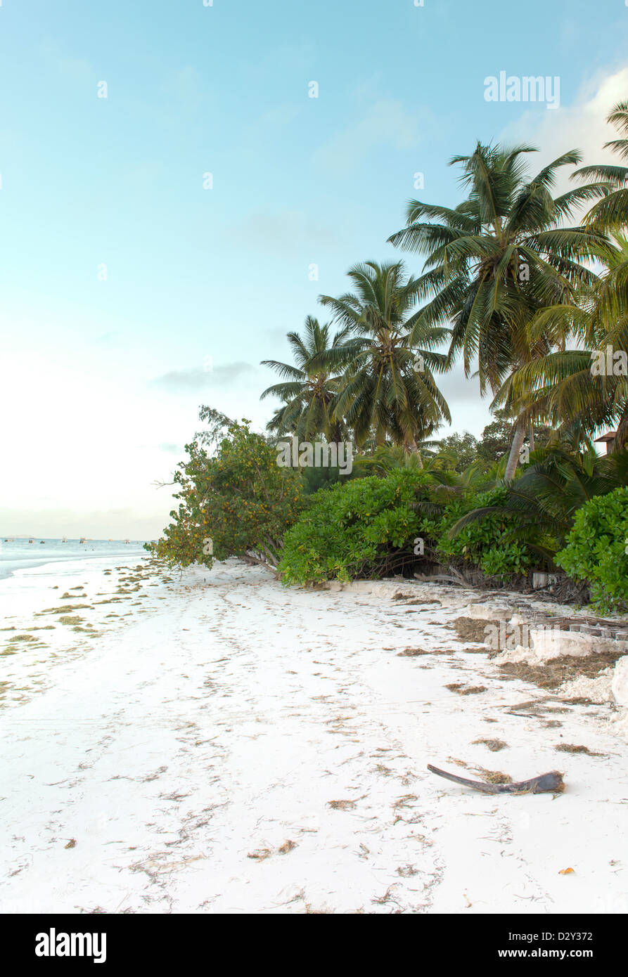 Beach sull'isola di Mahe in Seychelles Foto Stock