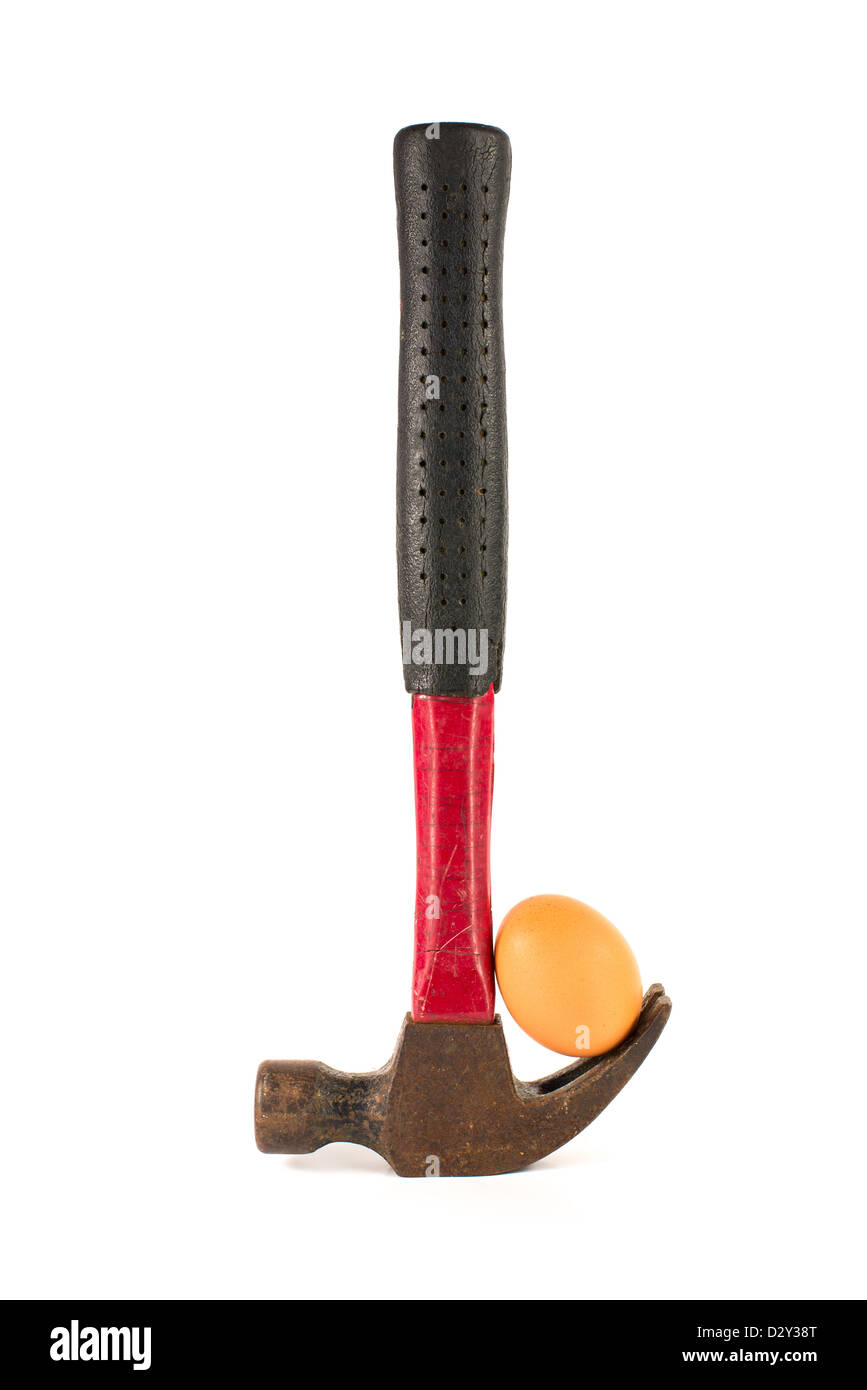 Un uovo si siede sulla estremità gancio di un martello. Foto Stock
