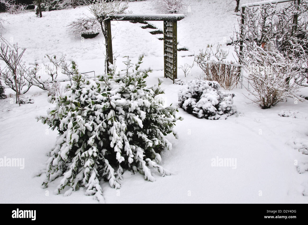 Un giardino nella neve REGNO UNITO Foto Stock