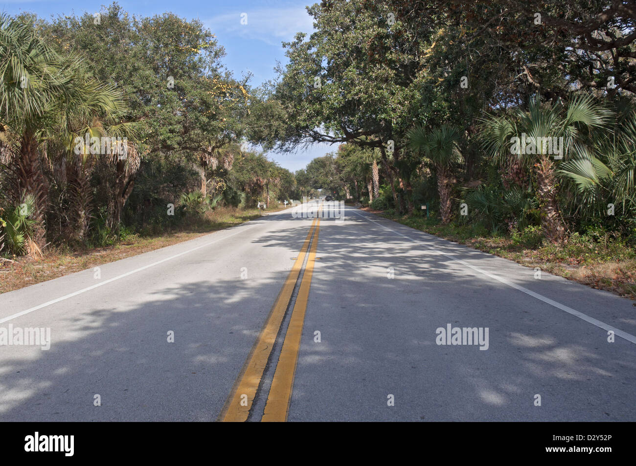 Lungo la storica strada costiera A1A in North Florida. Si tratta di un allevamento ufficialmente designato americana Byway. Foto Stock