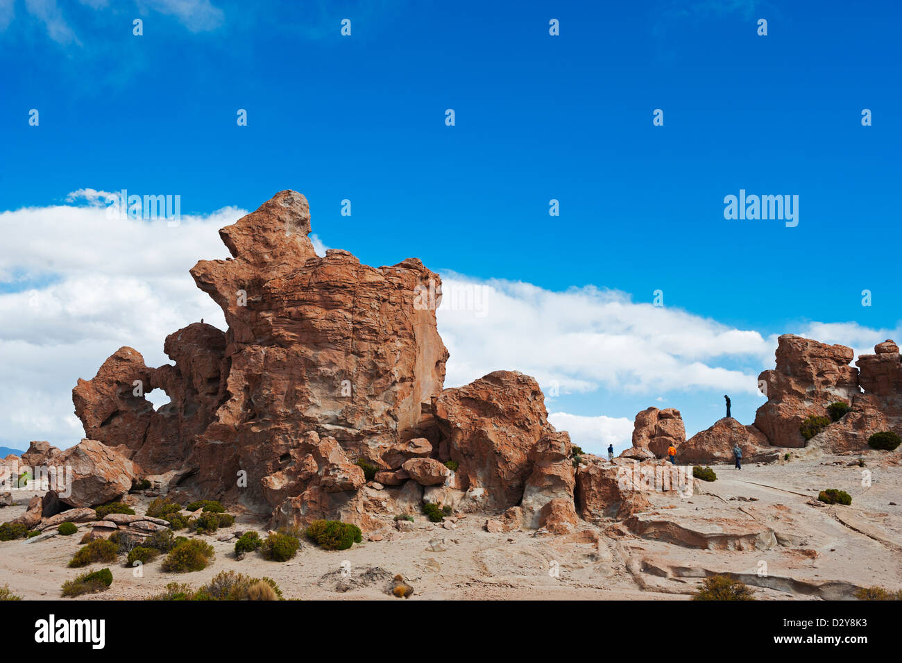 Le formazioni rocciose nel altiplano deserto, Bolivia, Sud America Foto Stock
