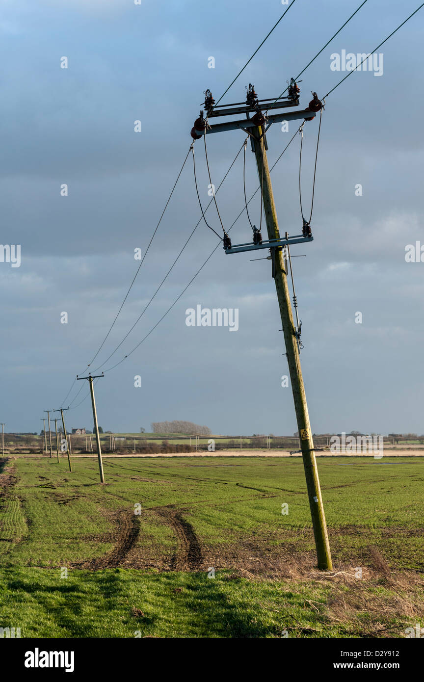 Una linea del telegrafo pendente poli attraverso piatta aperta campagna Cambridgeshire Regno Unito Foto Stock