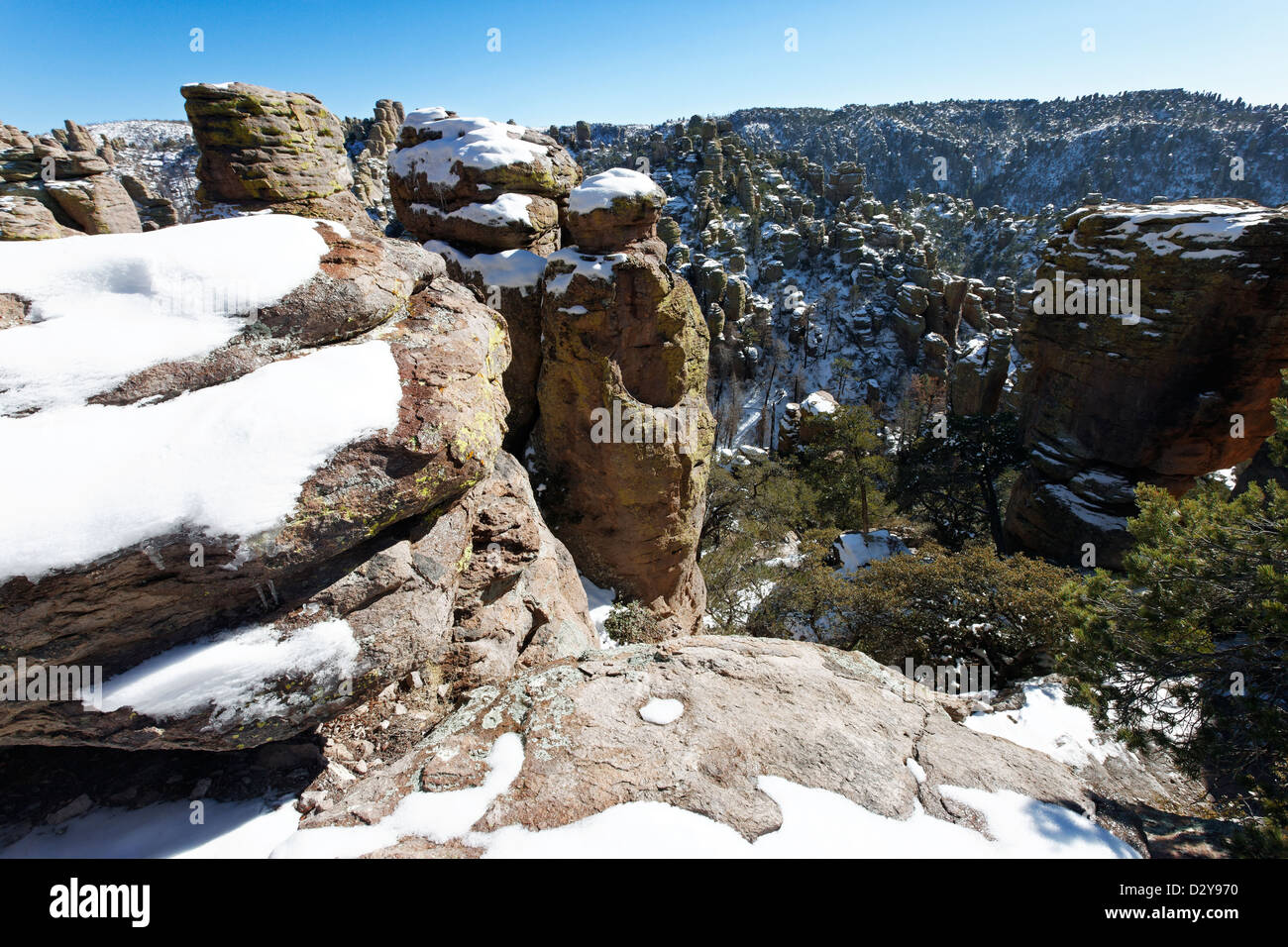 Chiricahua National Monument in Arizona Foto Stock