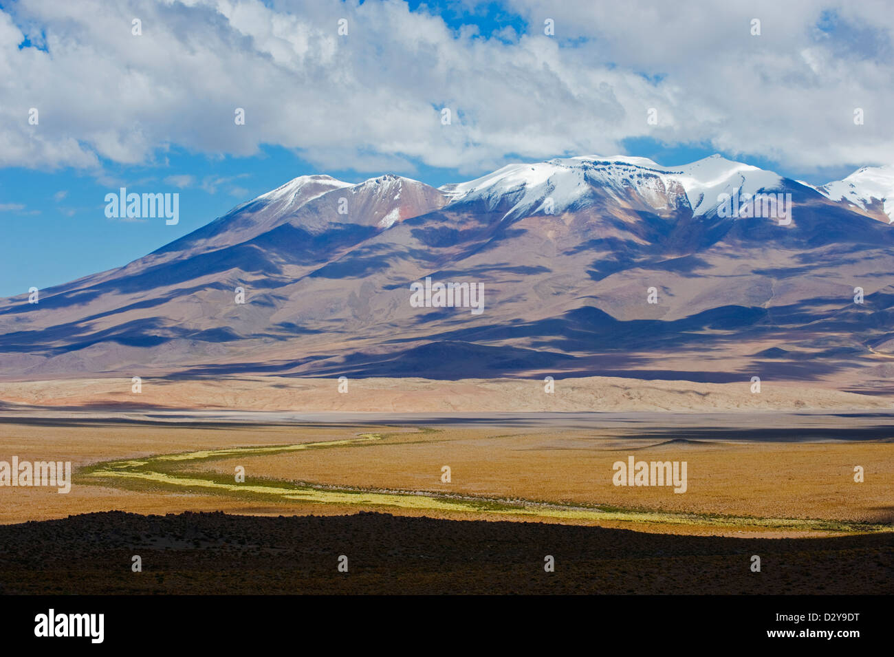 Montagne innevate sull'altiplano, Bolivia, Sud America Foto Stock