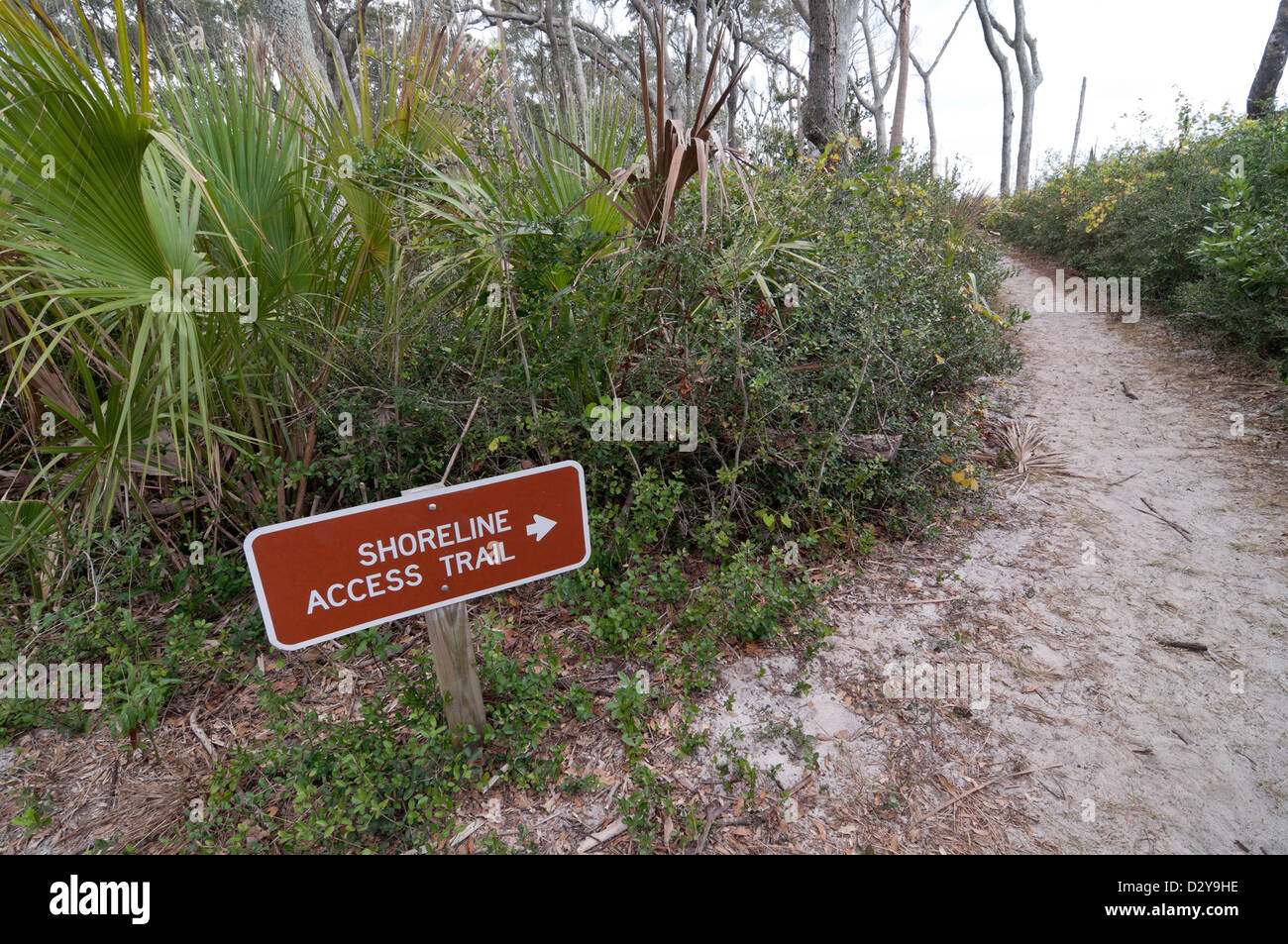 Big Talbot Island State Park lungo il nord della Florida costa atlantica. Foto Stock