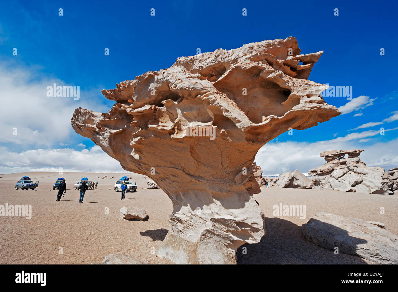 Le formazioni rocciose nel altiplano, Bolivia, Sud America Foto Stock