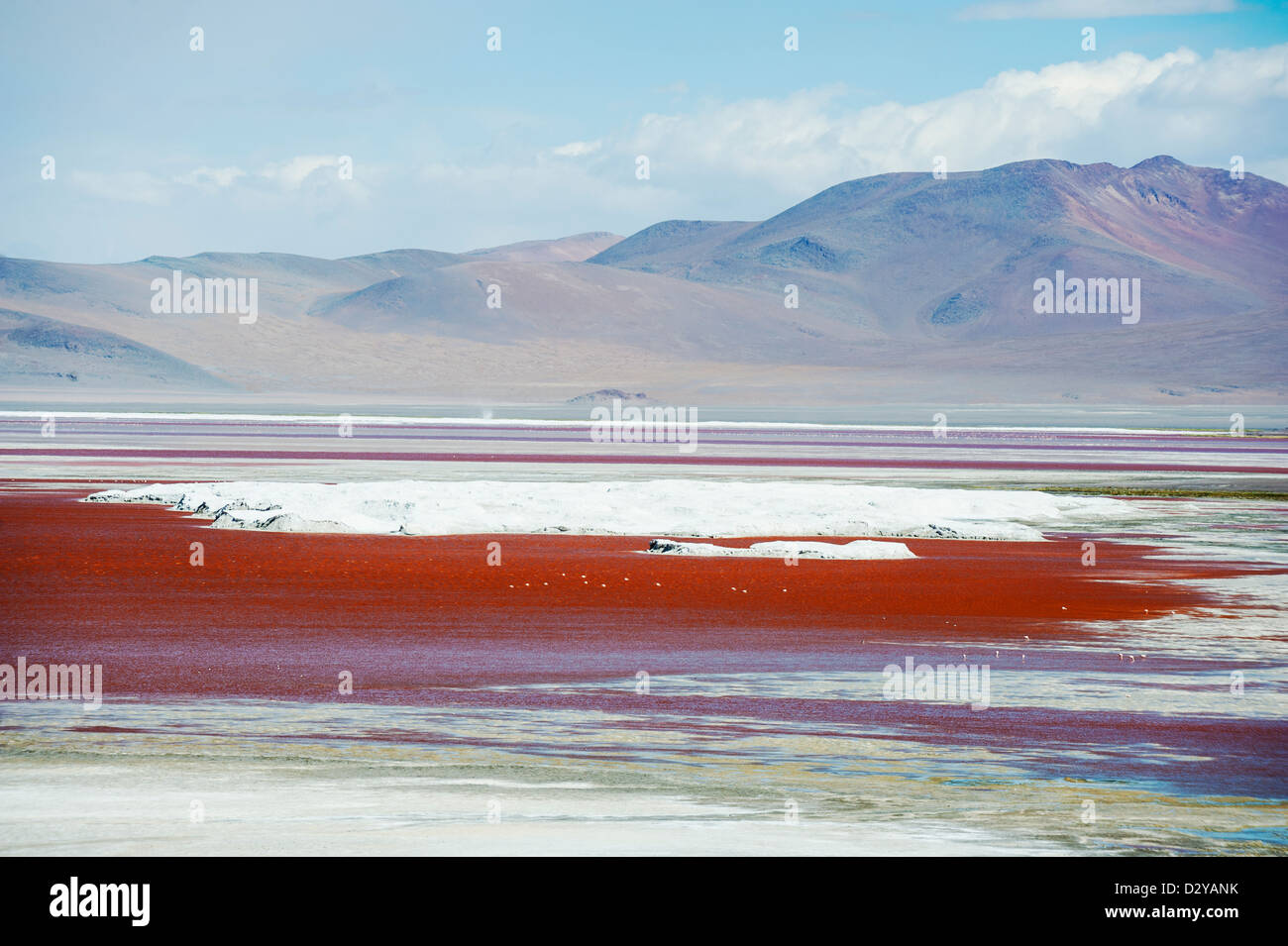 Laguna Colorado, Red Lake, Eduardo Avaroa Andean riserva nazionale, Bolivia, Sud America Foto Stock