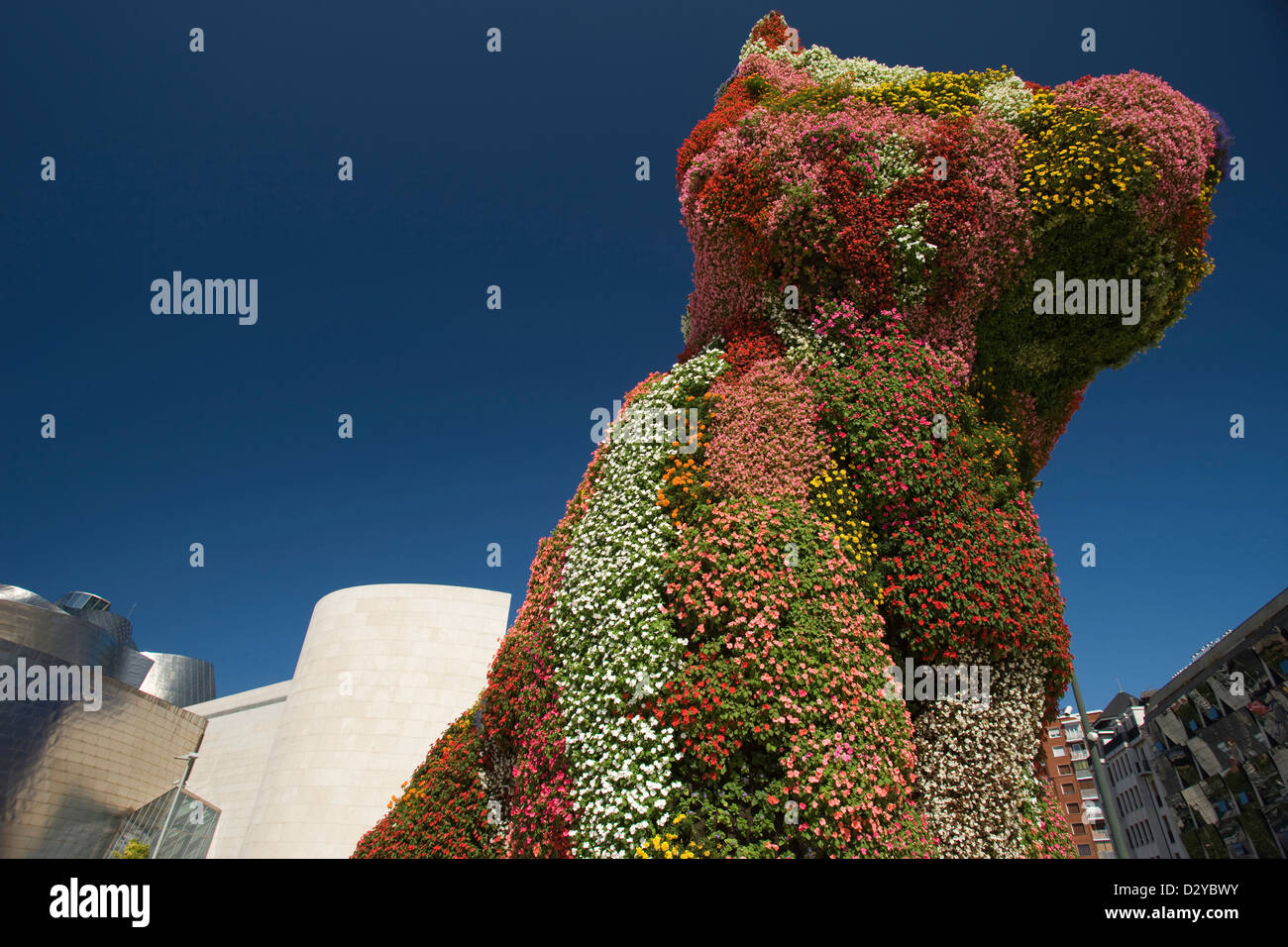 Topiaria da cucciolo scultura (©Jeff Koons 1994) Guggenheim Museum di arte moderna (©Frank Gehry 1997) Bilbao Basque Country Spagna Foto Stock