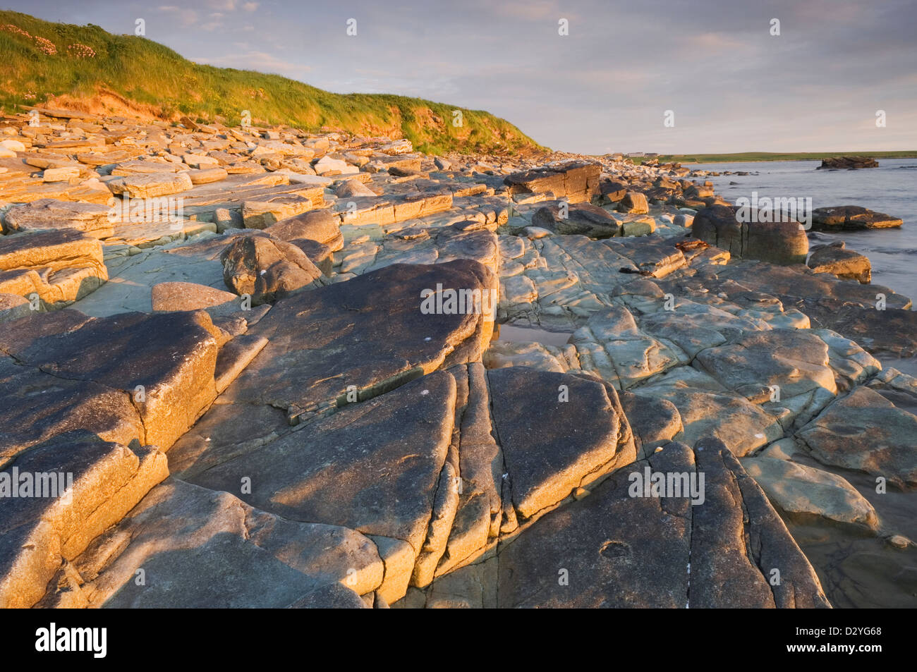 La costa dell'isola di Shapinsay al tramonto, Orkney Islands, Scozia. Foto Stock