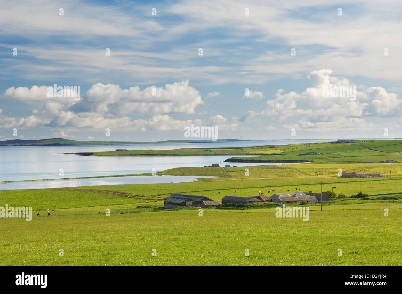 Farmland sull isola di Shapinsay, Orkney Islands, Scozia. Foto Stock