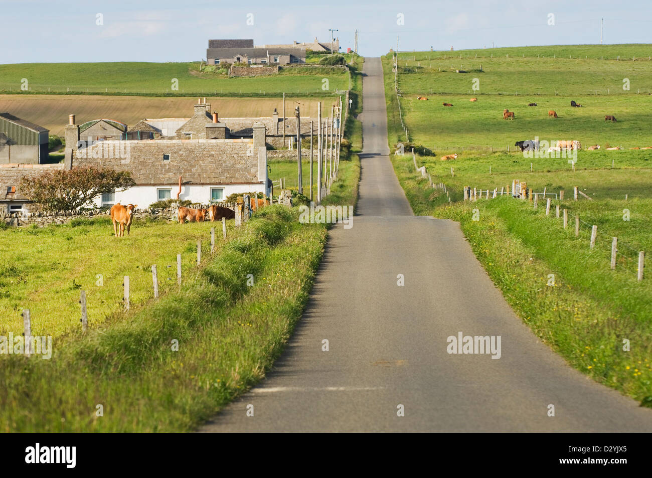 Strada per tutta l'isola di Shapinsay, Orkney Islands, Scozia. Foto Stock