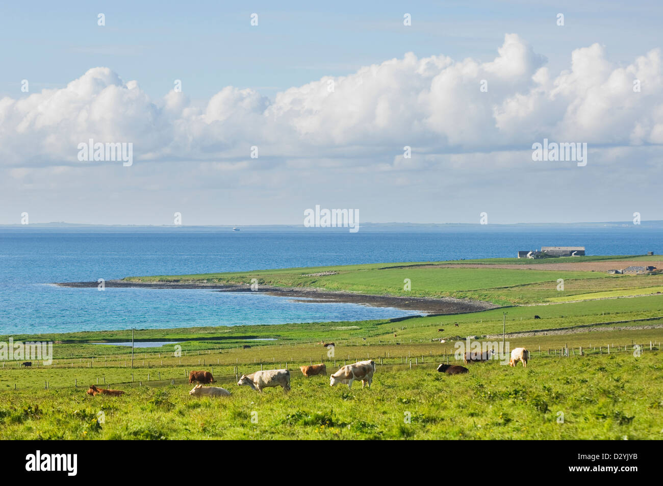 Farmland sull isola di Shapinsay, Orkney Islands, Scozia. Foto Stock