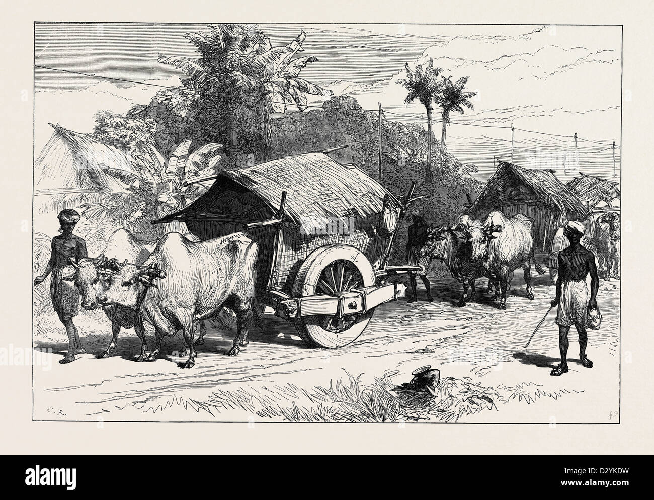 La carestia nel Bengala: HACKERIES giovenco per il trasporto di cereali 1874 Foto Stock