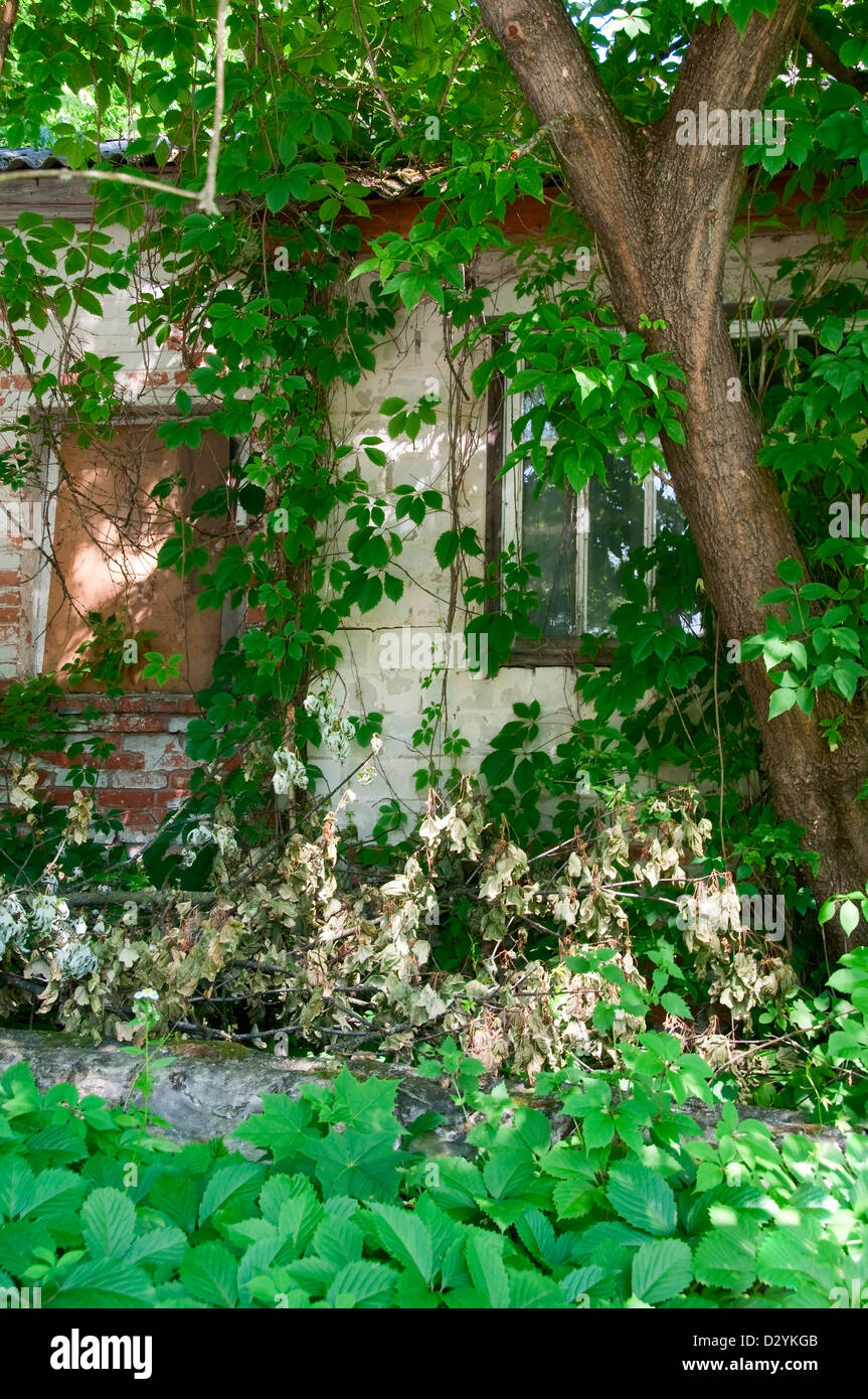 Disastro di Chernobyl risultati. Questa è una casa abbandonata nella città di Chernobyl Foto Stock