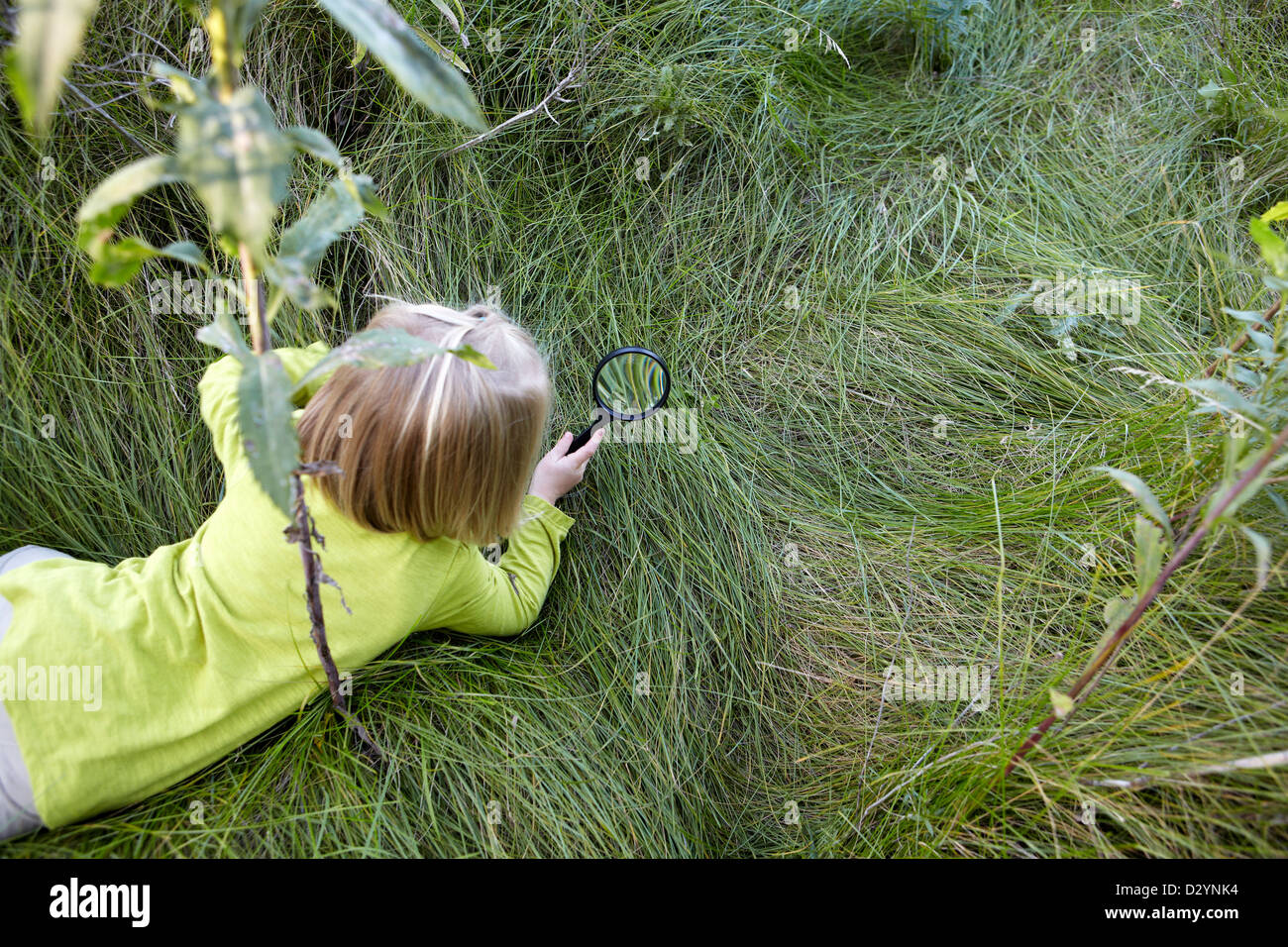Il Toddler nel campo Cerca attraverso la lente di ingrandimento Foto Stock