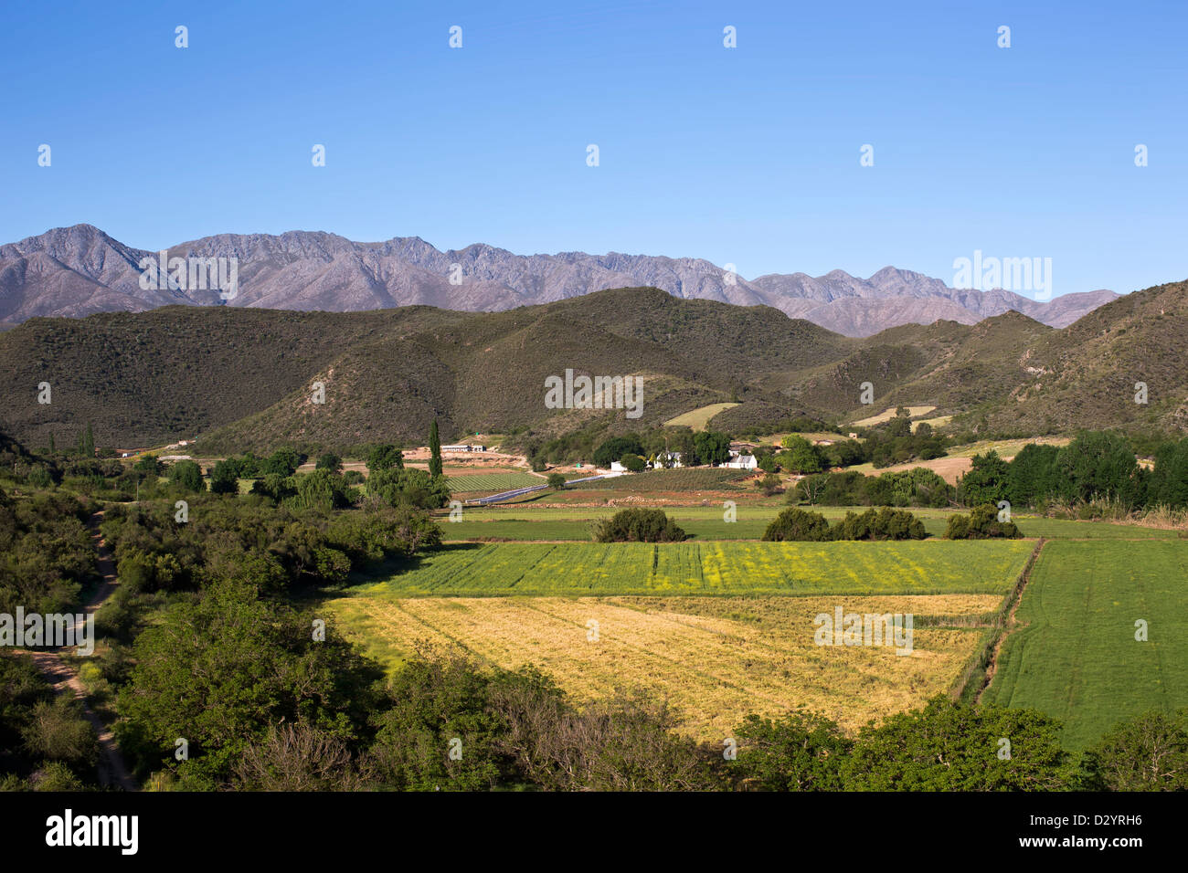 Cape winelands Foto Stock