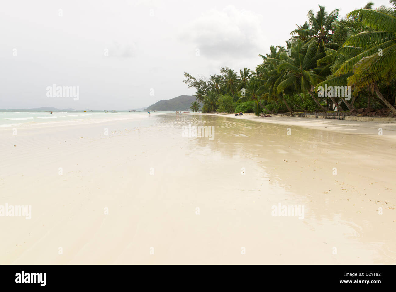 Spiaggia tropicale a Seychelles - sullo sfondo della natura Foto Stock