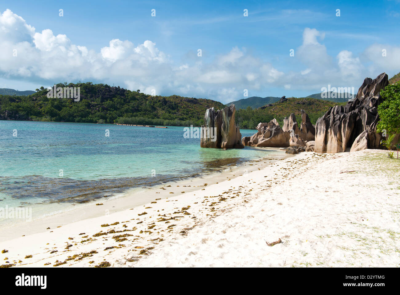 Spiaggia di sabbia bianca nelle Seicelle, Denis isola privata, Oceano Indiano Foto Stock