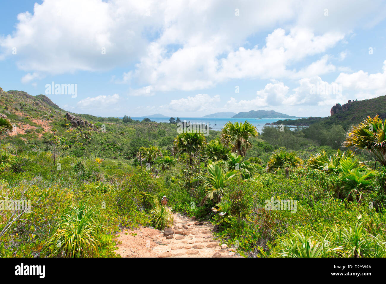 Spiaggia tropicale a Seychelles - sullo sfondo della natura Foto Stock