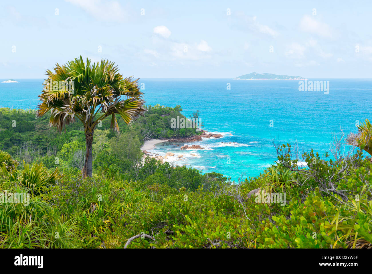 Spiaggia tropicale a Seychelles - sullo sfondo della natura Foto Stock