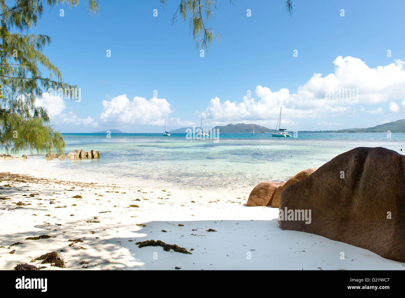 Spiaggia alle Seychelles Foto Stock