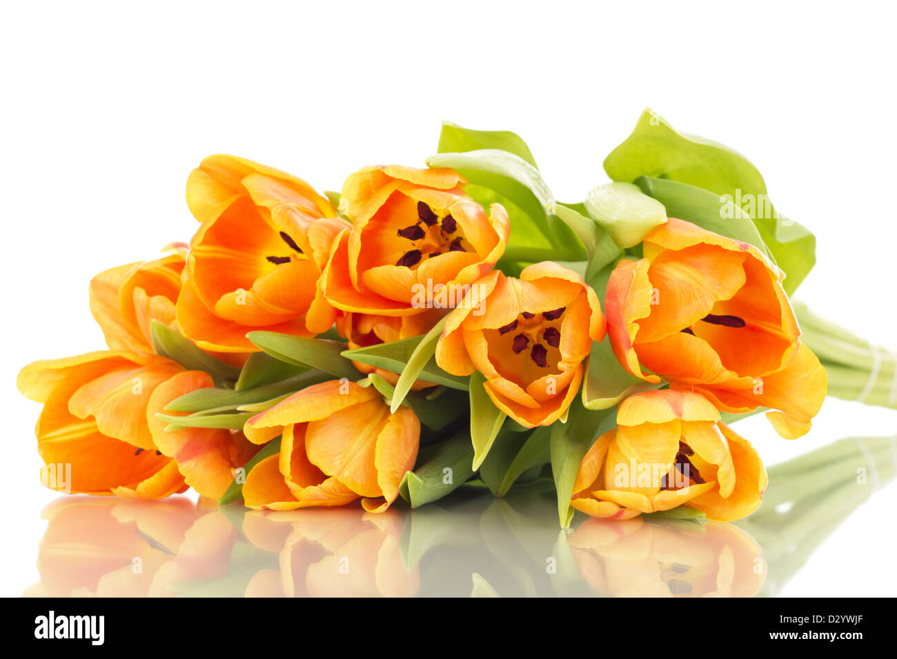 Mazzo di tulipani Foto Stock