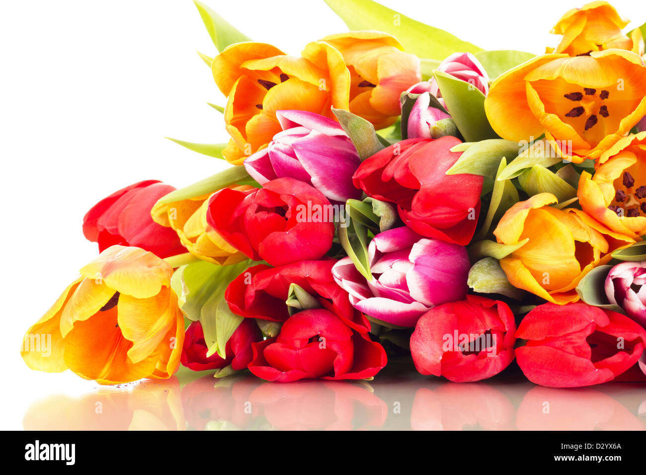 Mazzo di tulipani Foto Stock
