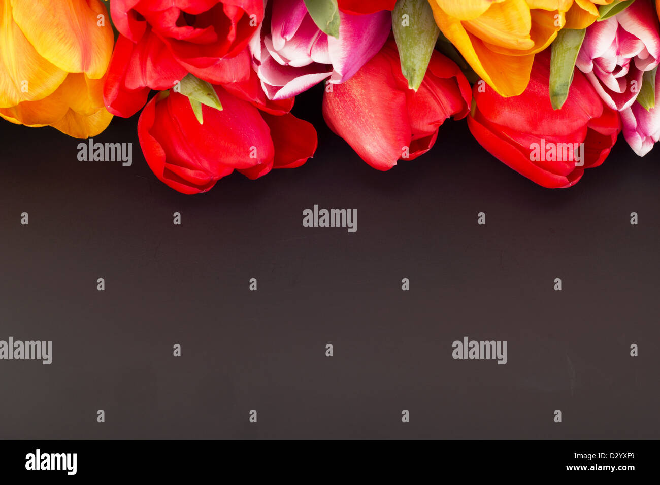 Mazzo di tulipani con Blackboard Foto Stock