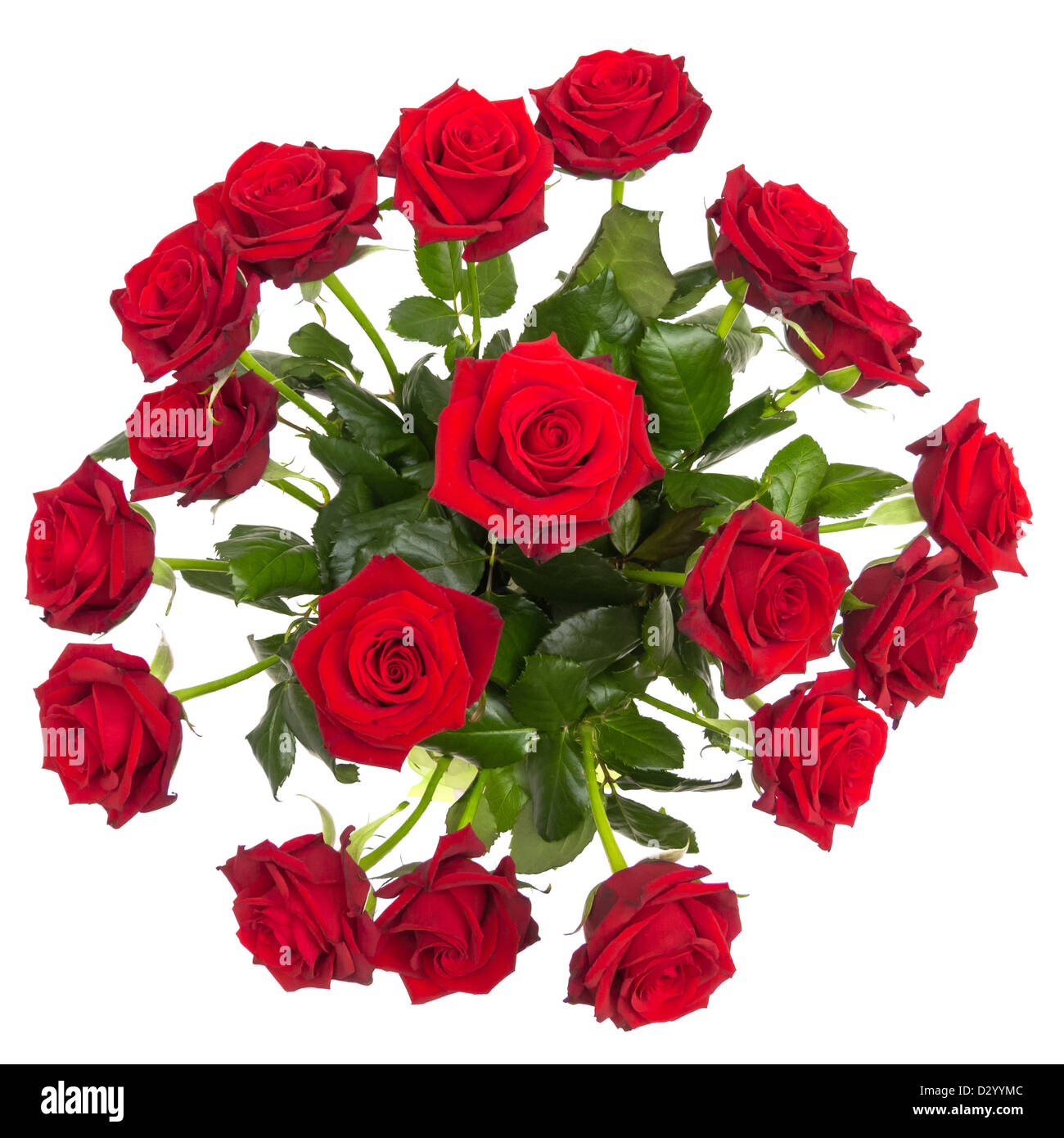 Rose rosse Bouquet Foto Stock