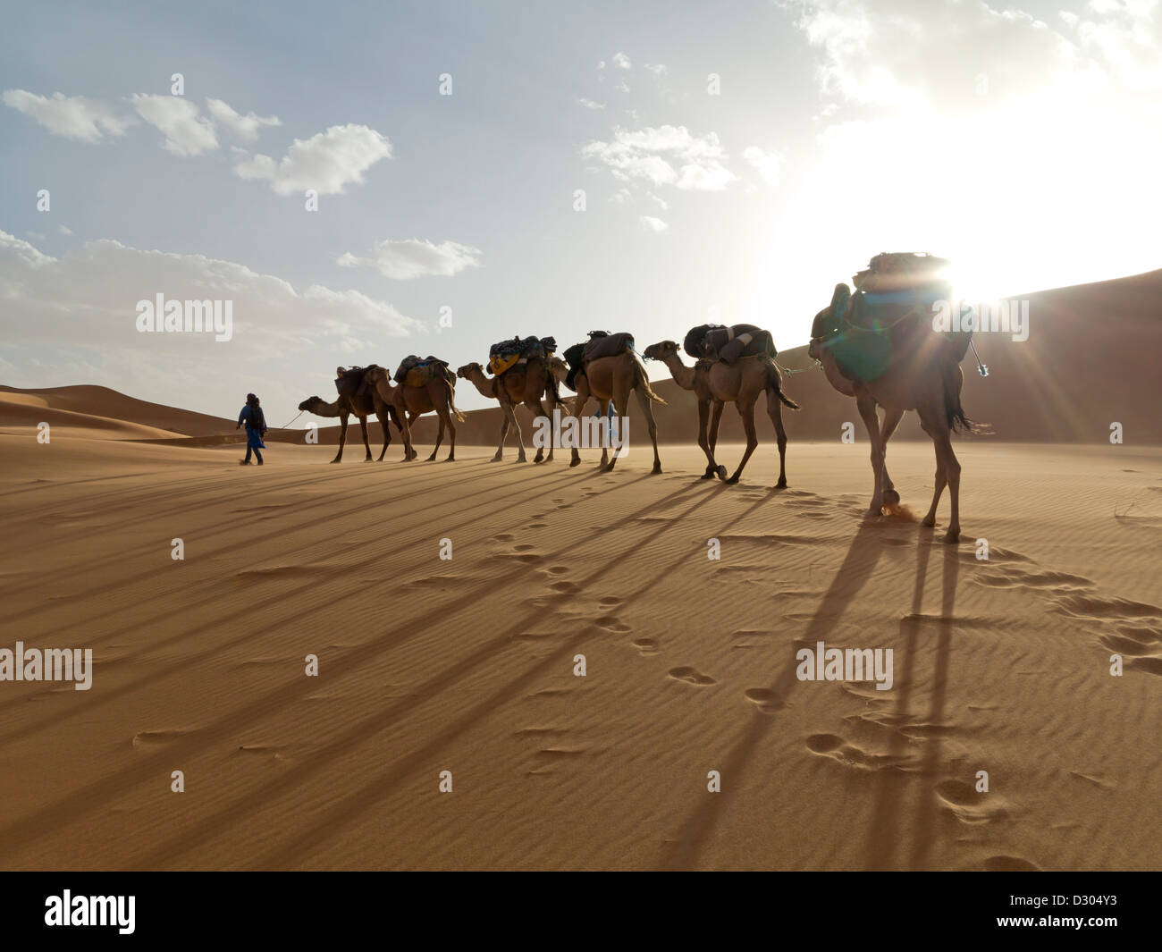 Trekking con il cammello nel deserto di Erg Chebbi vicino a dune di Merzouga, Marocco, Africa del Nord Foto Stock