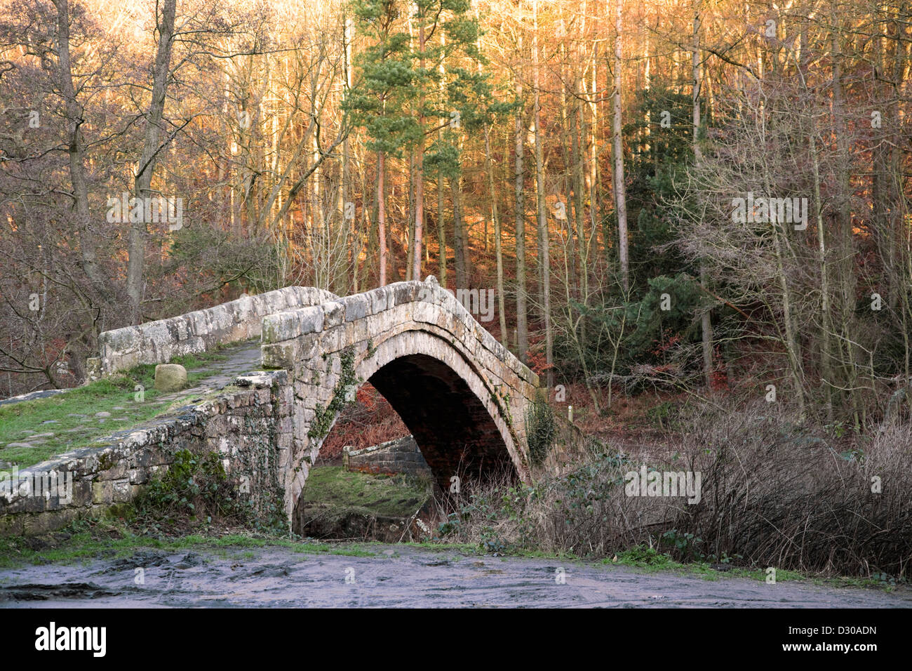 Ponte di mendicanti, Glaisdale, North Yorkshire, Inghilterra Foto Stock