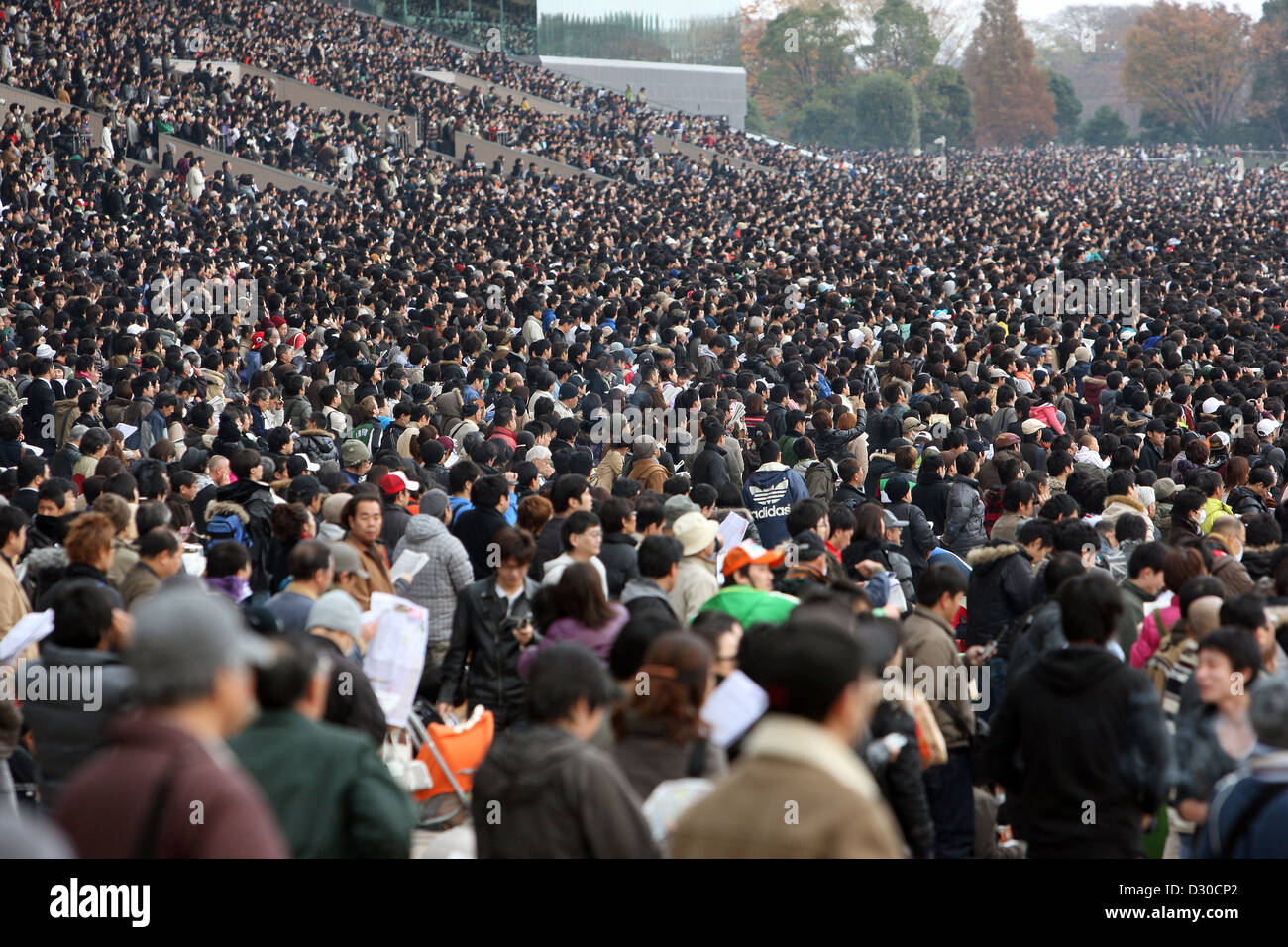 Gli spettatori presso il Fuchu cavallo di razza in pista durante la Japan Cup, Tokyo, Giappone Foto stock - Alamy
