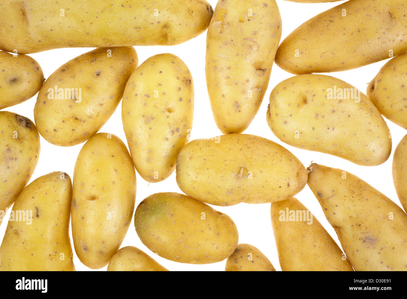 Vista ravvicinata di diversi piccoli giallo patate gourmet su uno sfondo bianco. Foto Stock