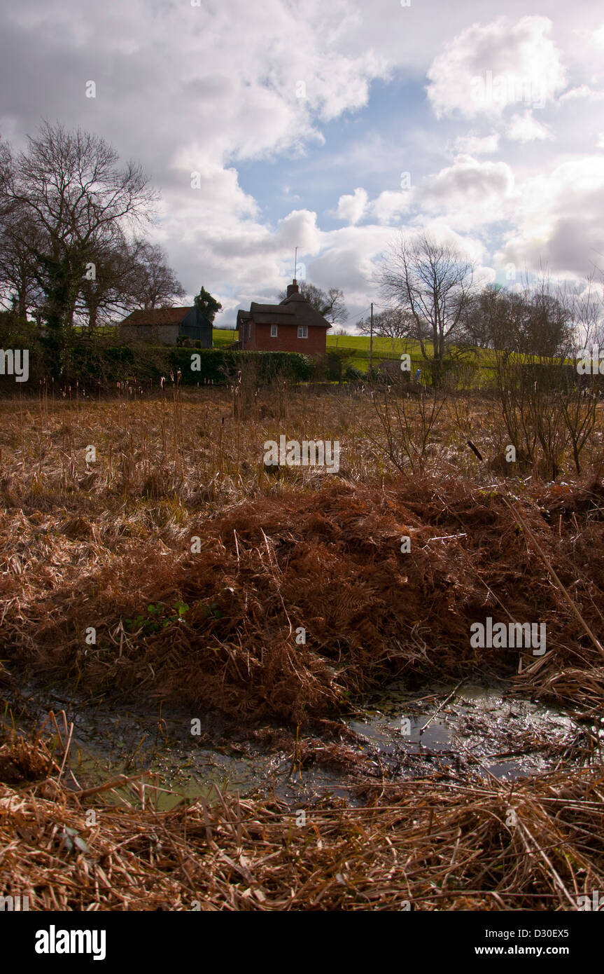 Broadland paglia cottage o casa Foto Stock