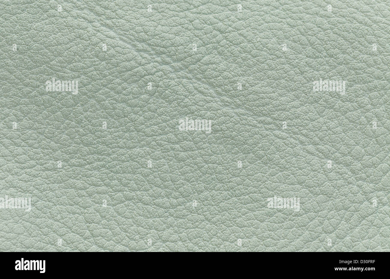 Alta risoluzione texture della pelle colorata in turchese pallido Foto Stock