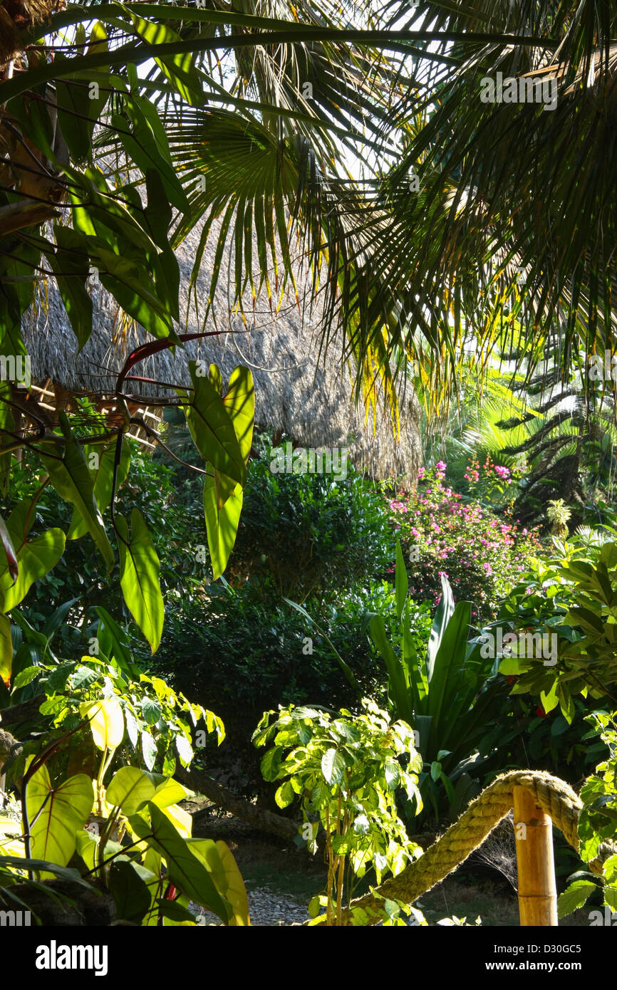 Giardini in un beach resort in Ecuador Foto Stock