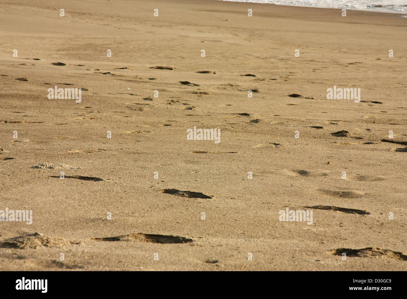 Piedi stampe su una spiaggia. Foto Stock